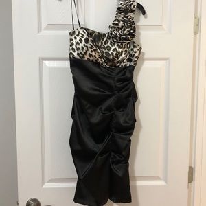 Ladies animal print dress